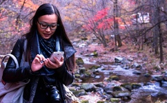 国内国外精品影片无人区